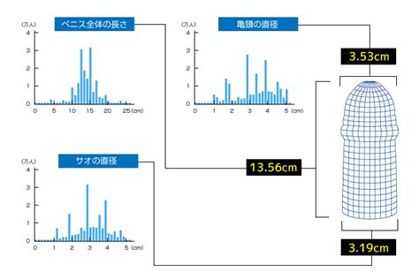 20 センチ ペニス|【医師監修】日本人のペニスサイズの平均は？測り方や大きさの .